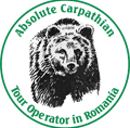Bear watching Romania. Wild bears, wolves, lynx and bird watching in Romania with Absolute Carpathian Logo
